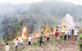Quy định mới về chế độ bồi dưỡng người tham gia chữa cháy rừng